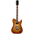 Radium-X Rustic Burst SG + Housse Godin