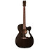 Legacy Faded Black CW Presys II Art et Lutherie