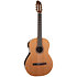 Collection RN Godin