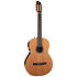 Collection Clasica II RN Godin