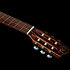 Concert Clasica II RN Godin