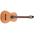 Concert Clasica II RN Godin