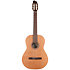 Concert Clasica II RN Godin