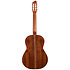 Concert Clasica II RN Godin