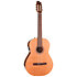 Concert Clasica II RN Godin