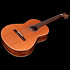 Concert Clasica II RN Godin
