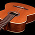Concert Clasica II RN Godin