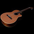 Concert CW Clasica II RN Godin