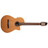 Concert CW Clasica II RN Godin