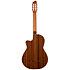 Concert CW Clasica II RN Godin