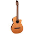 Concert CW Clasica II RN Godin