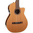 Concert CW Clasica II RN Godin