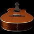 Concert CW Clasica II RN Godin