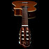 Concert CW Clasica II RN Godin