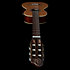 Motif Clasica II RN Godin