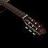 Motif Clasica II RN Godin