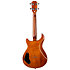 Vanguard Electric Transparent Black + Housse Flight