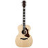 Fairmount CH Ltd Rosewood CN HG + Housse Godin