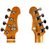 Mini Bass Poplar Burl + Housse Flight