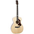 Fairmount CH Nat HG EQ CN + Housse Godin
