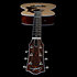Fairmount CH Nat HG EQ CN + Housse Godin