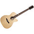 Fairmount CW Flame Maple GT EQ + Housse Godin