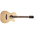 Fairmount CW Flame Maple GT EQ + Housse Godin