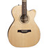 Fairmount CW Flame Maple GT EQ + Housse Godin