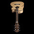Fairmount CW Flame Maple GT EQ + Housse Godin