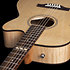 Fairmount CW Flame Maple GT EQ + Housse Godin