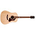 Metropolis Naturel RN GT EQ Godin
