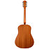 Metropolis Naturel RN GT EQ Godin