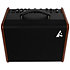 ASG-8 Wood Godin