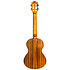 Victoria Soundwave Tenor + Housse Flight