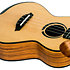 Victoria Soundwave Tenor + Housse Flight