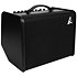 ASG-8 Black Godin