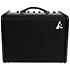 ASG-8 Black Godin