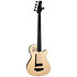A5 Ultra Natural Fretless A/E Godin