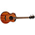 Nomad Baritone + Housse Flight