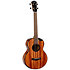 Nomad Baritone + Housse Flight