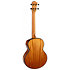 Nomad Baritone + Housse Flight