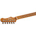 JS 300 Vegatrem Sherwood Green Édition Limitée Jet Guitars
