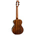 Peter Moss Tenor + Housse Flight
