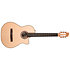 Arena Flame Maple CW EQ Godin