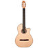 Arena Flame Maple CW EQ Godin