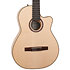 Arena Flame Maple CW EQ Godin