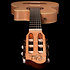 Arena Flame Maple CW EQ Godin