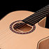 Arena Flame Maple CW EQ Godin