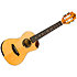 Victoria EQ-A Tenor + Housse Flight