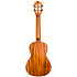 Victoria EQ-A Tenor + Housse Flight